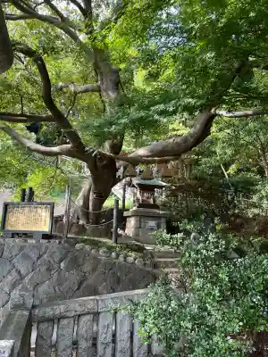 本牧神社の{uncategorized: "未分類", other: "その他", undefined: "問題あり", building: "その他建物", grave: "お墓", sacred_gate: "鳥居", guardian: "狛犬", statue: "像", buddha: "仏像", history: "歴史", nature: "自然", garden: "庭園", animal: "動物", pagoda: "塔", temizu: "手水舎", mountain_gate: "山門・神門", sanctuary: "本殿・本堂", subordinate: "末社・摂社", art: "芸術", scenery: "景色", jizo: "地蔵", ema: "絵馬", goshuin: "御朱印", omikuji: "おみくじ", items: "授与品その他", amulet: "お守り", goshuincho: "御朱印帳", eats: "食事", festival: "お祭り", votive_dance: "神楽", shichigosan: "七五三参", wedding: "結婚式", experience: "体験その他", initially: "初詣", around: "周辺", anti_infection: "感染症対策"}