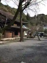 定光寺の建物その他