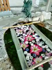 立志神社(滋賀県)