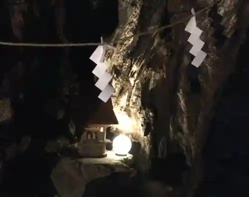 來宮神社の自然