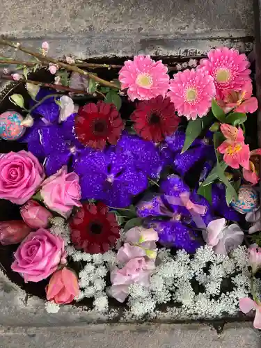 千代ケ岡八幡宮(栃木県)