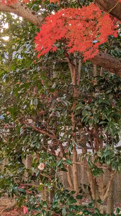 相国寺(相国承天禅寺)(京都府)