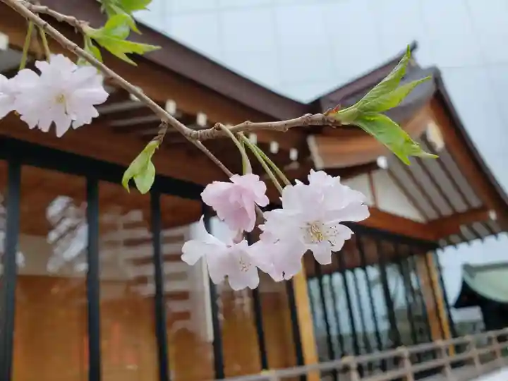 成子天神社の自然