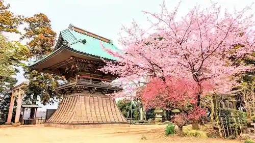 飯綱神社の自然