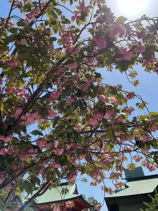 生田神社(兵庫県)