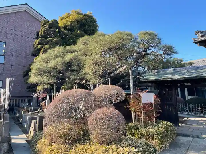 神宮寺の{uncategorized: "未分類", other: "その他", undefined: "問題あり", building: "その他建物", grave: "お墓", sacred_gate: "鳥居", guardian: "狛犬", statue: "像", buddha: "仏像", history: "歴史", nature: "自然", garden: "庭園", animal: "動物", pagoda: "塔", temizu: "手水舎", mountain_gate: "山門・神門", sanctuary: "本殿・本堂", subordinate: "末社・摂社", art: "芸術", scenery: "景色", jizo: "地蔵", ema: "絵馬", goshuin: "御朱印", omikuji: "おみくじ", items: "授与品その他", amulet: "お守り", goshuincho: "御朱印帳", eats: "食事", festival: "お祭り", votive_dance: "神楽", shichigosan: "七五三参", wedding: "結婚式", experience: "体験その他", initially: "初詣", around: "周辺", anti_infection: "感染症対策"}