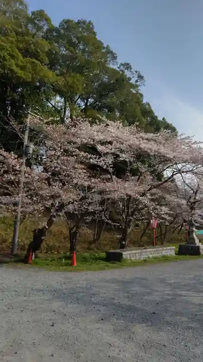 相馬中村神社の自然