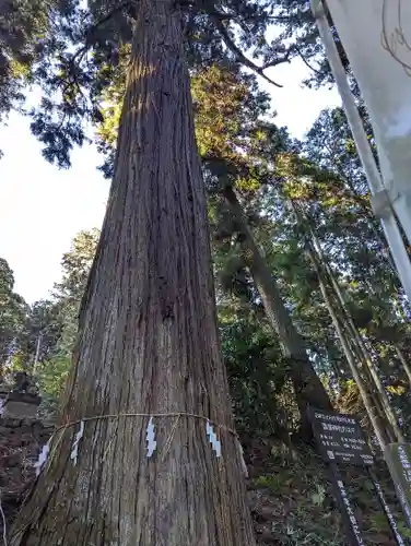 大宮温泉神社(栃木県)