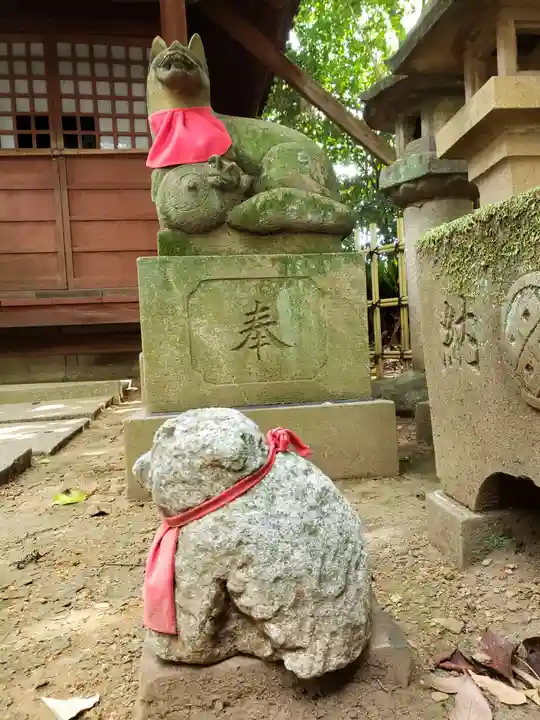 渋谷氷川神社の狛犬