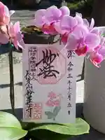 妙蓮寺の御朱印