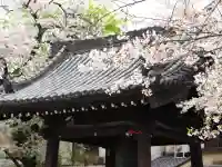 蓮馨寺の{uncategorized: "未分類", other: "その他", undefined: "問題あり", building: "その他建物", grave: "お墓", sacred_gate: "鳥居", guardian: "狛犬", statue: "像", buddha: "仏像", history: "歴史", nature: "自然", garden: "庭園", animal: "動物", pagoda: "塔", temizu: "手水舎", mountain_gate: "山門・神門", sanctuary: "本殿・本堂", subordinate: "末社・摂社", art: "芸術", scenery: "景色", jizo: "地蔵", ema: "絵馬", goshuin: "御朱印", omikuji: "おみくじ", items: "授与品その他", amulet: "お守り", goshuincho: "御朱印帳", eats: "食事", festival: "お祭り", votive_dance: "神楽", shichigosan: "七五三参", wedding: "結婚式", experience: "体験その他", initially: "初詣", around: "周辺", anti_infection: "感染症対策"}