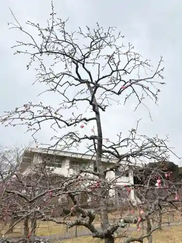 菅原神社の{uncategorized: "未分類", other: "その他", undefined: "問題あり", building: "その他建物", grave: "お墓", sacred_gate: "鳥居", guardian: "狛犬", statue: "像", buddha: "仏像", history: "歴史", nature: "自然", garden: "庭園", animal: "動物", pagoda: "塔", temizu: "手水舎", mountain_gate: "山門・神門", sanctuary: "本殿・本堂", subordinate: "末社・摂社", art: "芸術", scenery: "景色", jizo: "地蔵", ema: "絵馬", goshuin: "御朱印", omikuji: "おみくじ", items: "授与品その他", amulet: "お守り", goshuincho: "御朱印帳", eats: "食事", festival: "お祭り", votive_dance: "神楽", shichigosan: "七五三参", wedding: "結婚式", experience: "体験その他", initially: "初詣", around: "周辺", anti_infection: "感染症対策"}