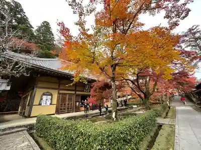 永源寺(滋賀県)