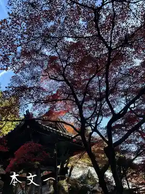 最乗寺（道了尊）(神奈川県)