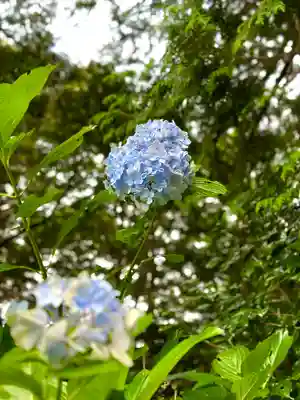 日龍峯寺(高澤観音)(美濃清水)(岐阜県)
