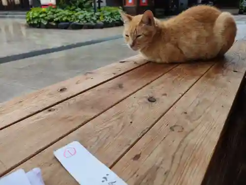 小倉祇園八坂神社(福岡県)