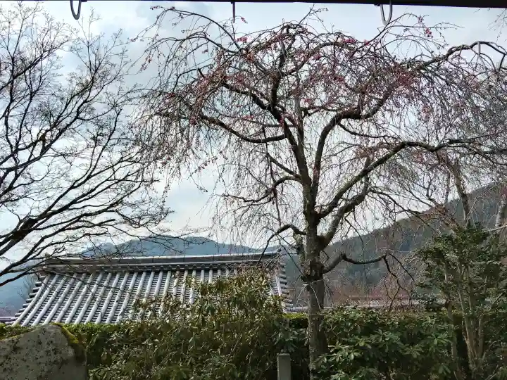 三千院門跡の{uncategorized: "未分類", other: "その他", undefined: "問題あり", building: "その他建物", grave: "お墓", sacred_gate: "鳥居", guardian: "狛犬", statue: "像", buddha: "仏像", history: "歴史", nature: "自然", garden: "庭園", animal: "動物", pagoda: "塔", temizu: "手水舎", mountain_gate: "山門・神門", sanctuary: "本殿・本堂", subordinate: "末社・摂社", art: "芸術", scenery: "景色", jizo: "地蔵", ema: "絵馬", goshuin: "御朱印", omikuji: "おみくじ", items: "授与品その他", amulet: "お守り", goshuincho: "御朱印帳", eats: "食事", festival: "お祭り", votive_dance: "神楽", shichigosan: "七五三参", wedding: "結婚式", experience: "体験その他", initially: "初詣", around: "周辺", anti_infection: "感染症対策"}