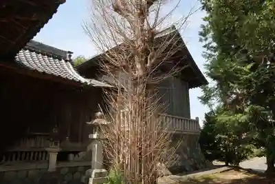 白鬚神社(岐阜県)