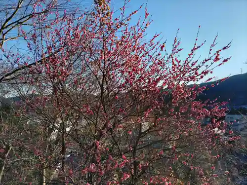 海禅寺の庭園