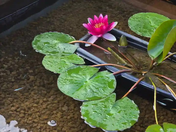 安養寺(滋賀県)