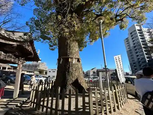 挙母神社(愛知県)