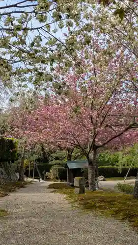圓光寺(京都府)
