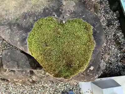 明智神社の自然