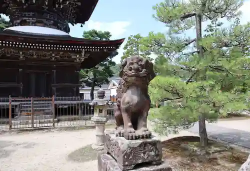 智恩寺の狛犬