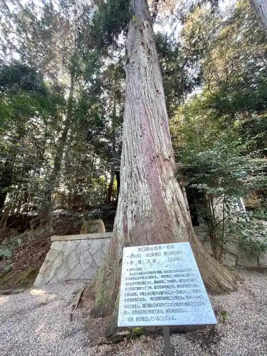 春日神社(滋賀県)