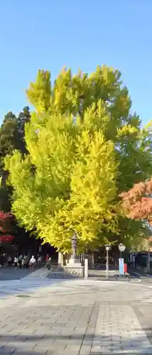 熊野大社(山形県)