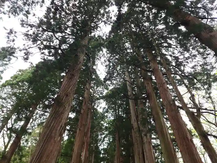 戸隠神社奥社(長野県)