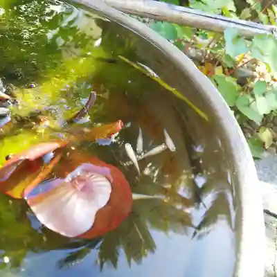 浄元寺の手水舎