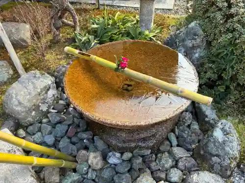圓光寺の{uncategorized: "未分類", other: "その他", undefined: "問題あり", building: "その他建物", grave: "お墓", sacred_gate: "鳥居", guardian: "狛犬", statue: "像", buddha: "仏像", history: "歴史", nature: "自然", garden: "庭園", animal: "動物", pagoda: "塔", temizu: "手水舎", mountain_gate: "山門・神門", sanctuary: "本殿・本堂", subordinate: "末社・摂社", art: "芸術", scenery: "景色", jizo: "地蔵", ema: "絵馬", goshuin: "御朱印", omikuji: "おみくじ", items: "授与品その他", amulet: "お守り", goshuincho: "御朱印帳", eats: "食事", festival: "お祭り", votive_dance: "神楽", shichigosan: "七五三参", wedding: "結婚式", experience: "体験その他", initially: "初詣", around: "周辺", anti_infection: "感染症対策"}