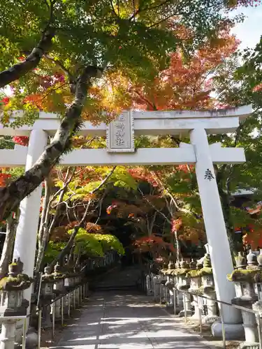 鹿嶋神社の鳥居