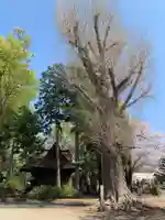 愛宕神社(茨城県)