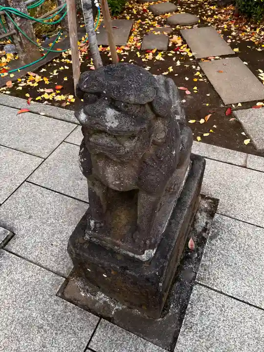 鳩森八幡神社の狛犬