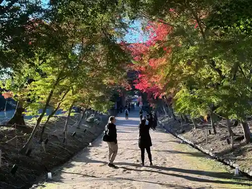醍醐寺(京都府)