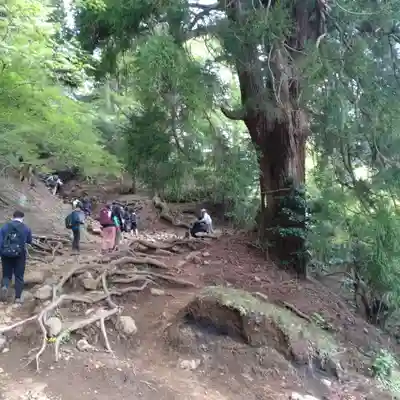 大山阿夫利神社本社(神奈川県)