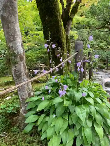 慈照寺（慈照禅寺・銀閣寺）(京都府)