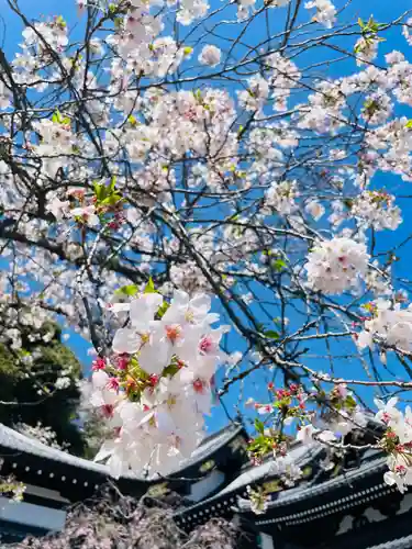 長谷寺(神奈川県)