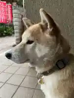 笠䅣稲荷神社(神奈川県)