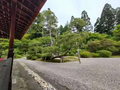 曼殊院門跡(京都府)