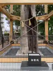 西八龍社の建物その他