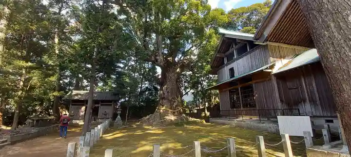 川津来宮神社(静岡県)