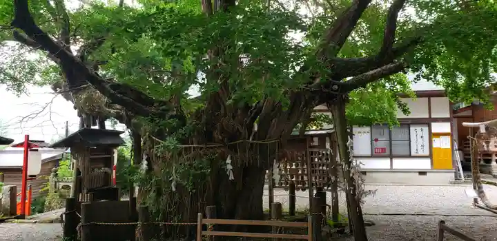 伊那下神社のその他建物