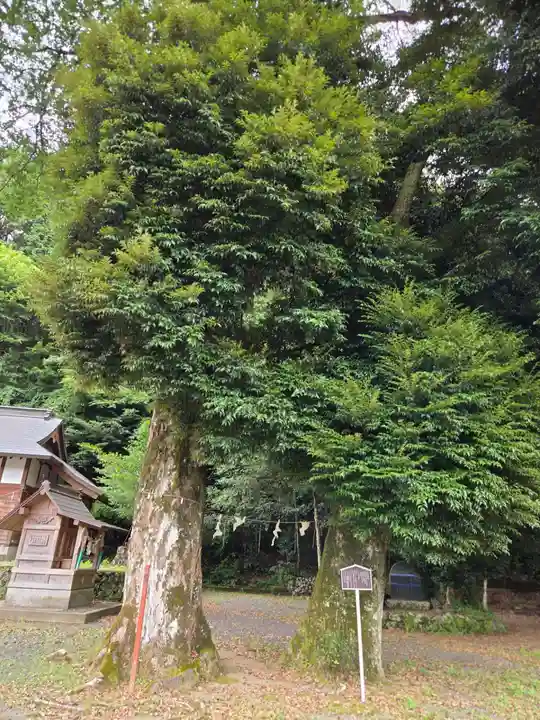 許禰神社(静岡県)