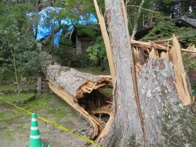 大原野神社(京都府)