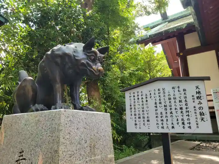 稲毛神社の狛犬