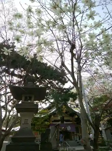 彌彦神社　(伊夜日子神社)の自然