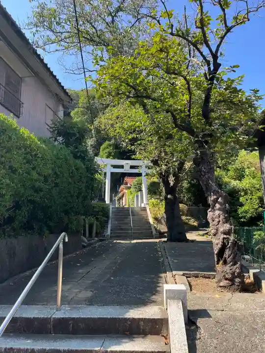 熊野神社(杉田・中原)の{uncategorized: "未分類", other: "その他", undefined: "問題あり", building: "その他建物", grave: "お墓", sacred_gate: "鳥居", guardian: "狛犬", statue: "像", buddha: "仏像", history: "歴史", nature: "自然", garden: "庭園", animal: "動物", pagoda: "塔", temizu: "手水舎", mountain_gate: "山門・神門", sanctuary: "本殿・本堂", subordinate: "末社・摂社", art: "芸術", scenery: "景色", jizo: "地蔵", ema: "絵馬", goshuin: "御朱印", omikuji: "おみくじ", items: "授与品その他", amulet: "お守り", goshuincho: "御朱印帳", eats: "食事", festival: "お祭り", votive_dance: "神楽", shichigosan: "七五三参", wedding: "結婚式", experience: "体験その他", initially: "初詣", around: "周辺", anti_infection: "感染症対策"}